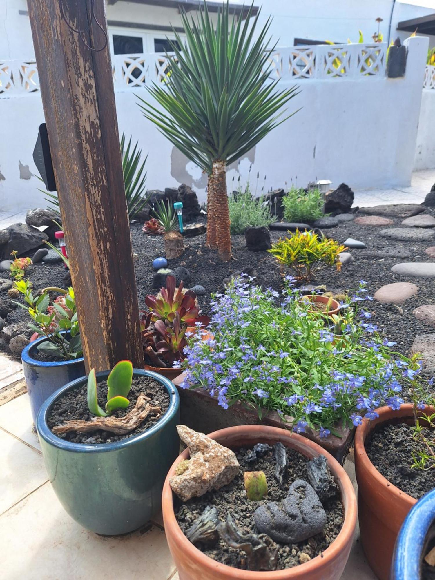 Casita Pequena Lanzarote Villa Teguise  Bagian luar foto